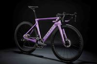 COBRA EVO LAVENDER_sm